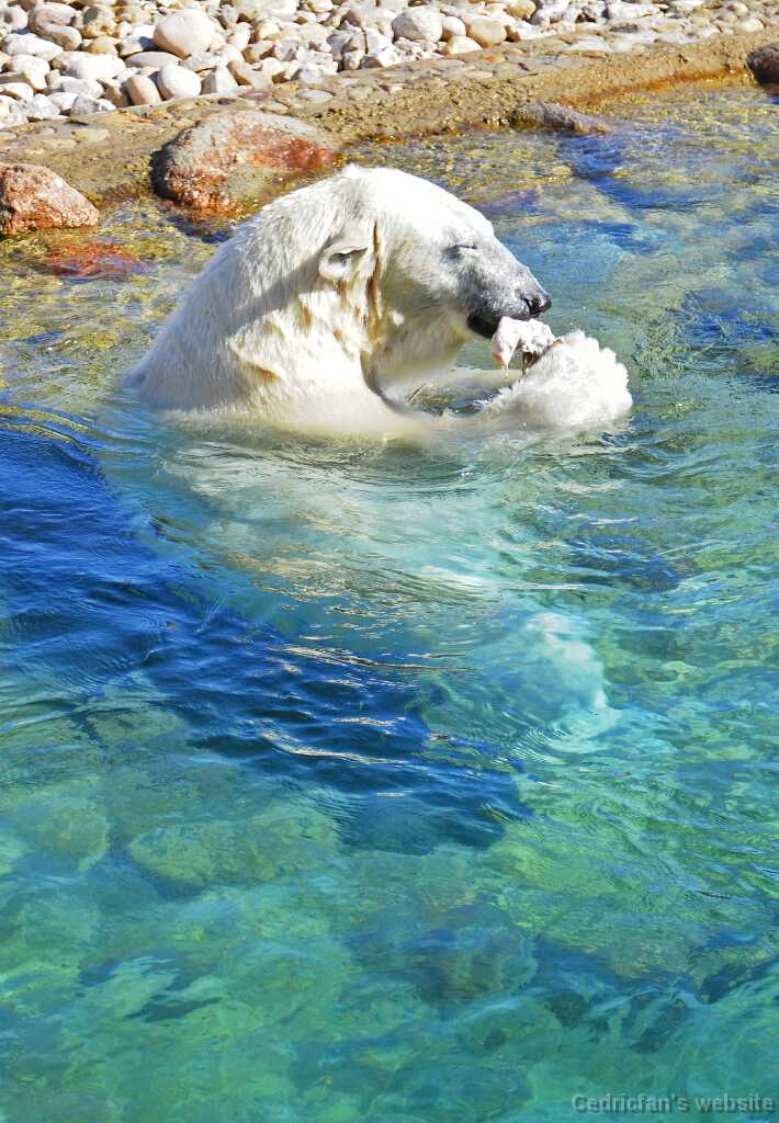 DSN_4657