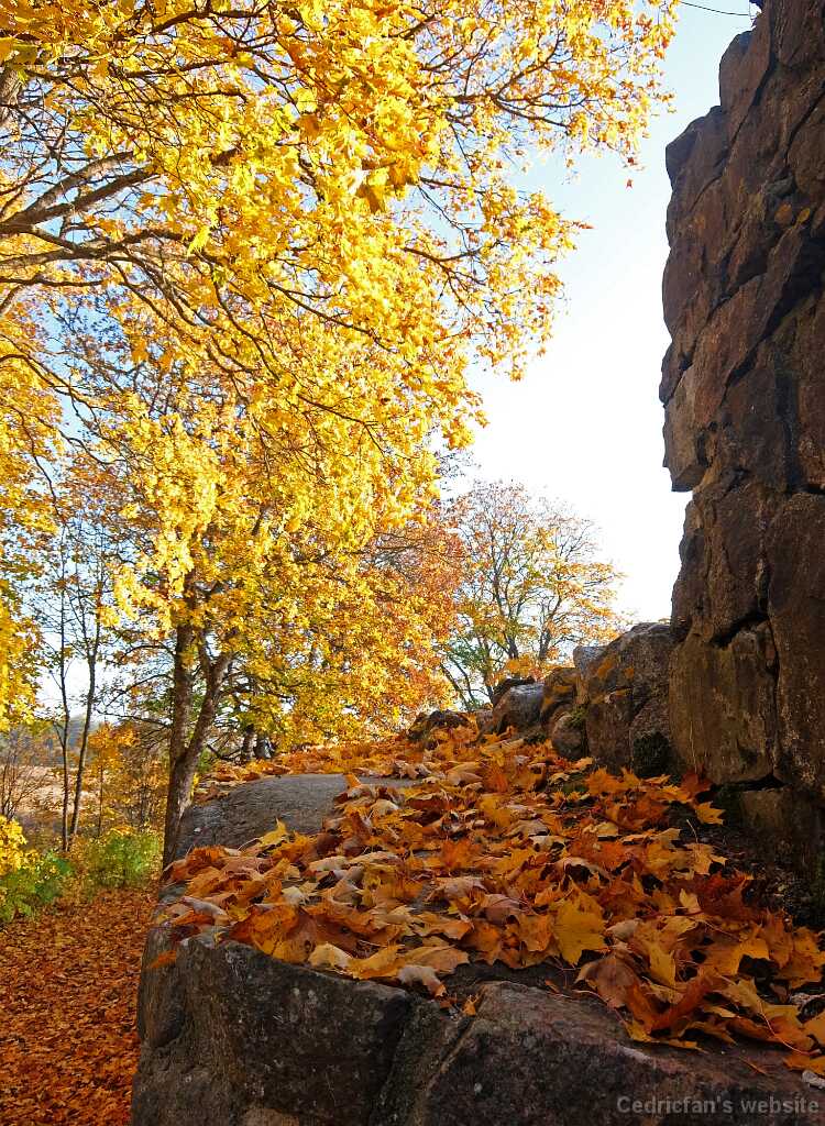 DSCF1508