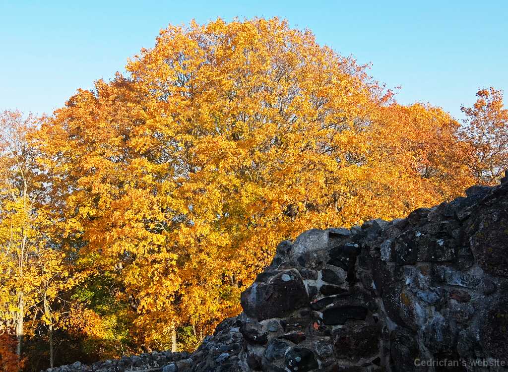 DSCF1516