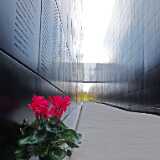 DSCF1546