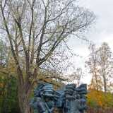 DSCF1611