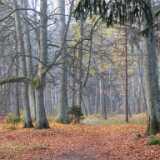 DSCF1623