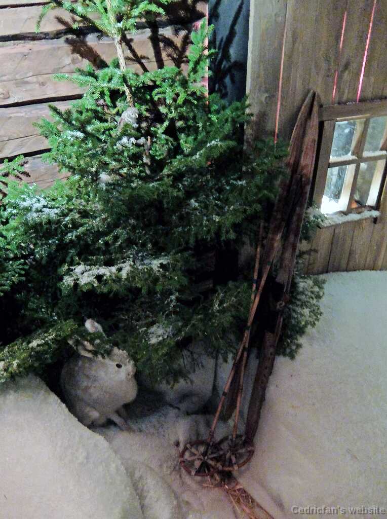 DSCF1674