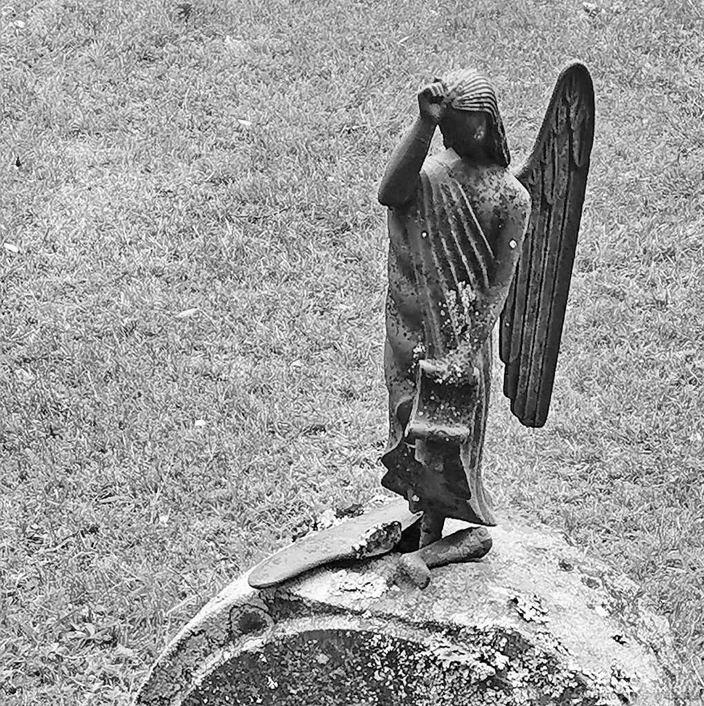 IMG_20190614_173236bw