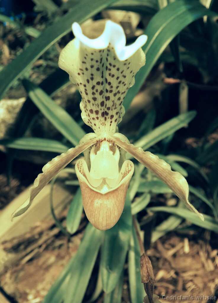 DSCF1829