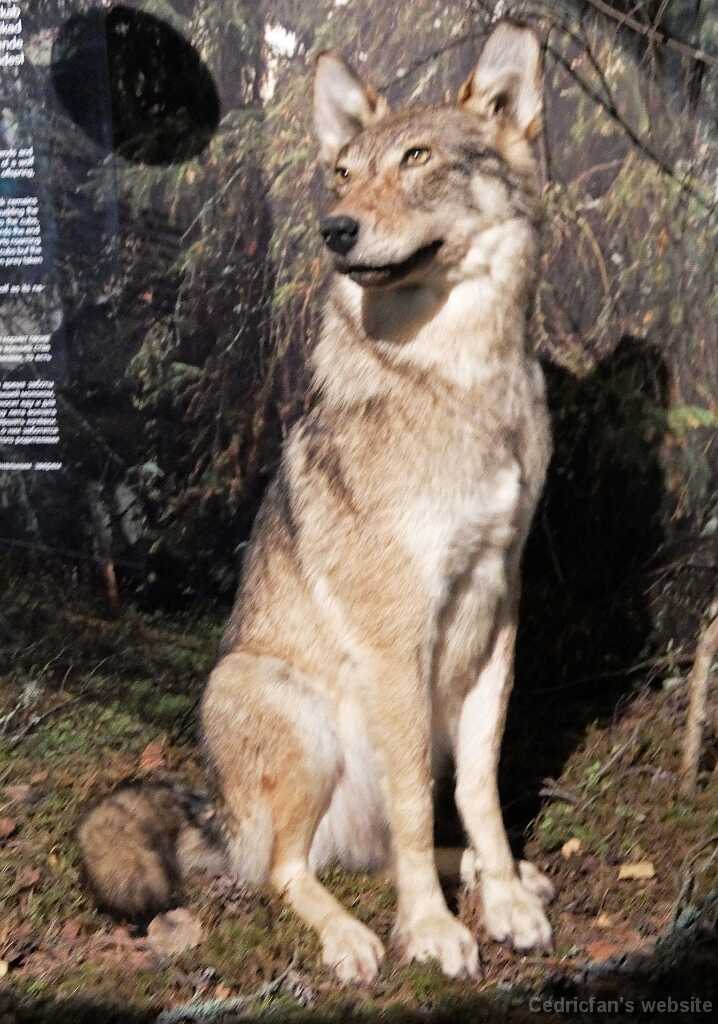 DSCF2076