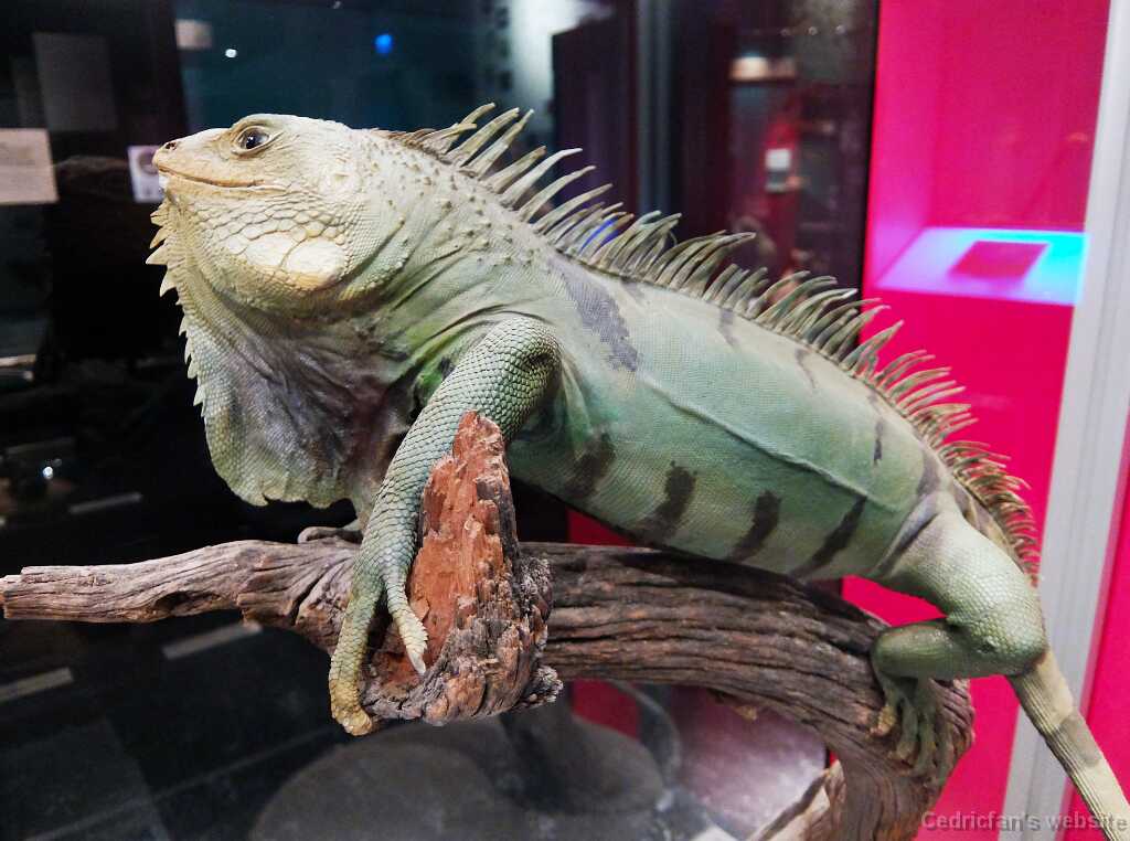 DSCF2273
