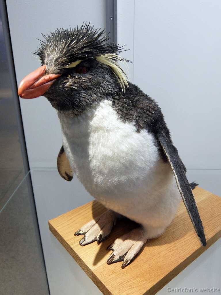 DSCF2279
