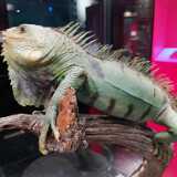 DSCF2273