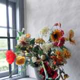DSCF2170