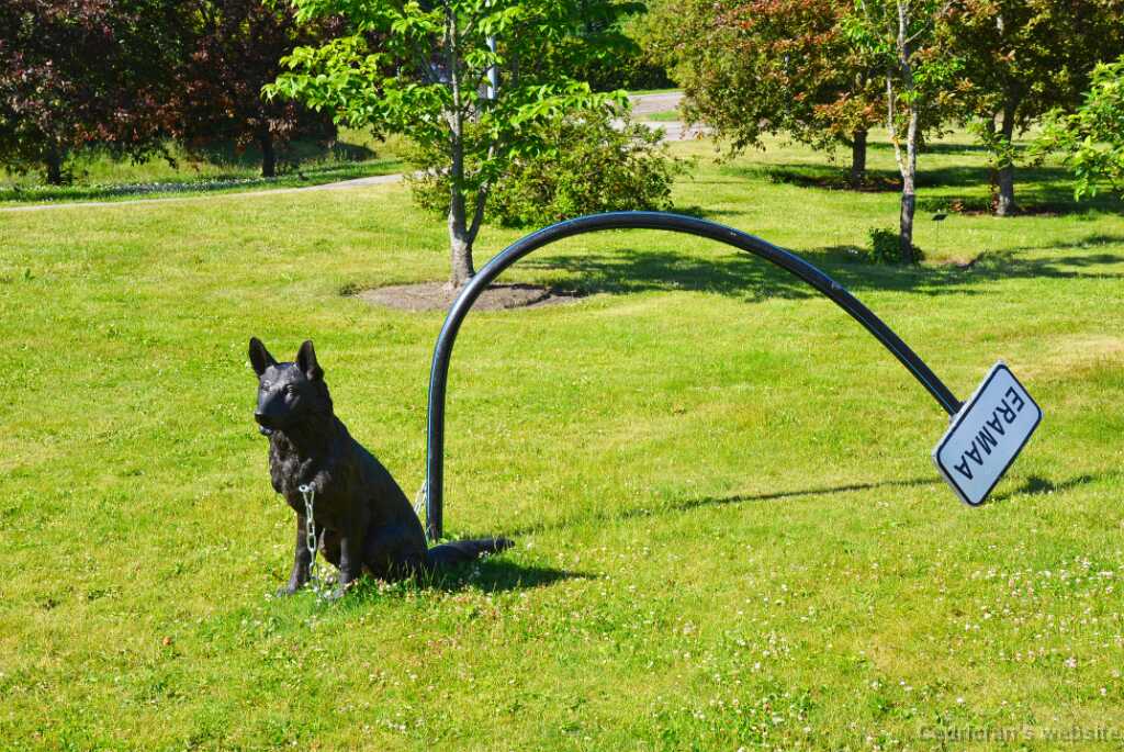 DSN_6816