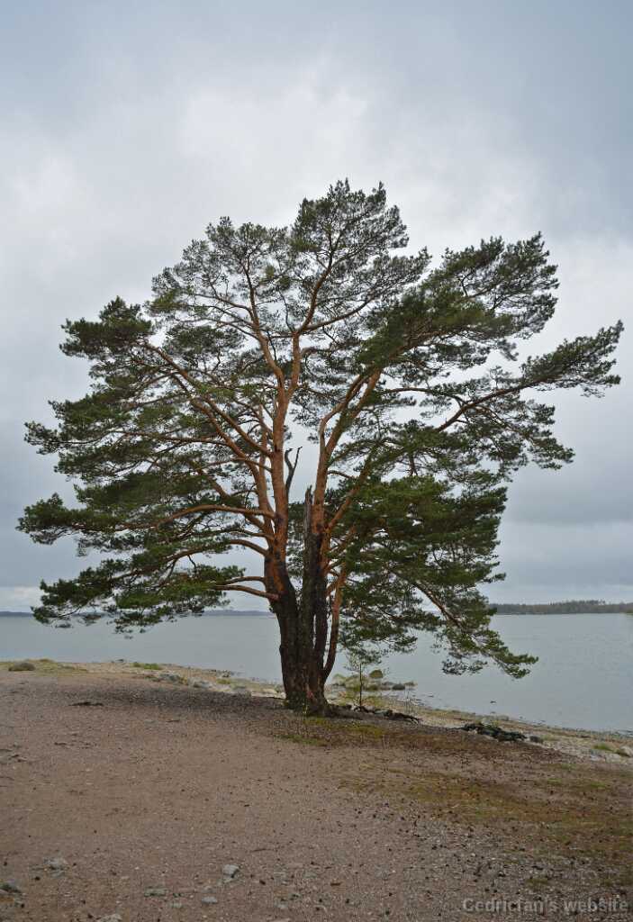DSN_8787