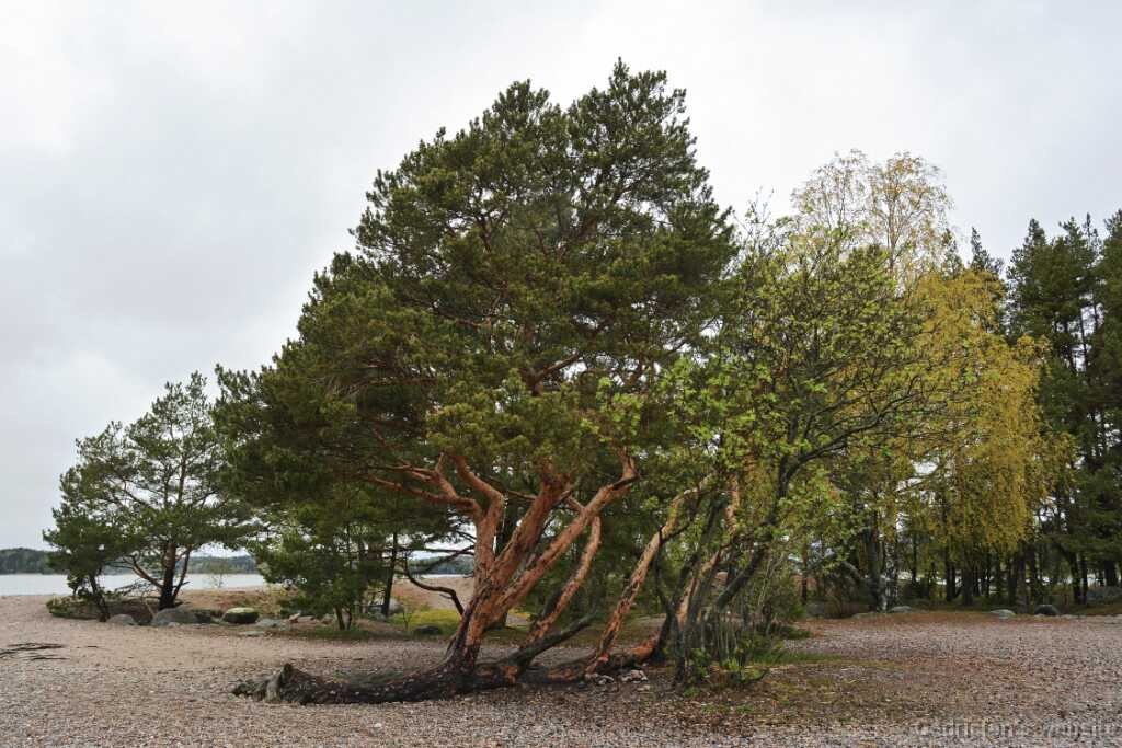 DSN_8789