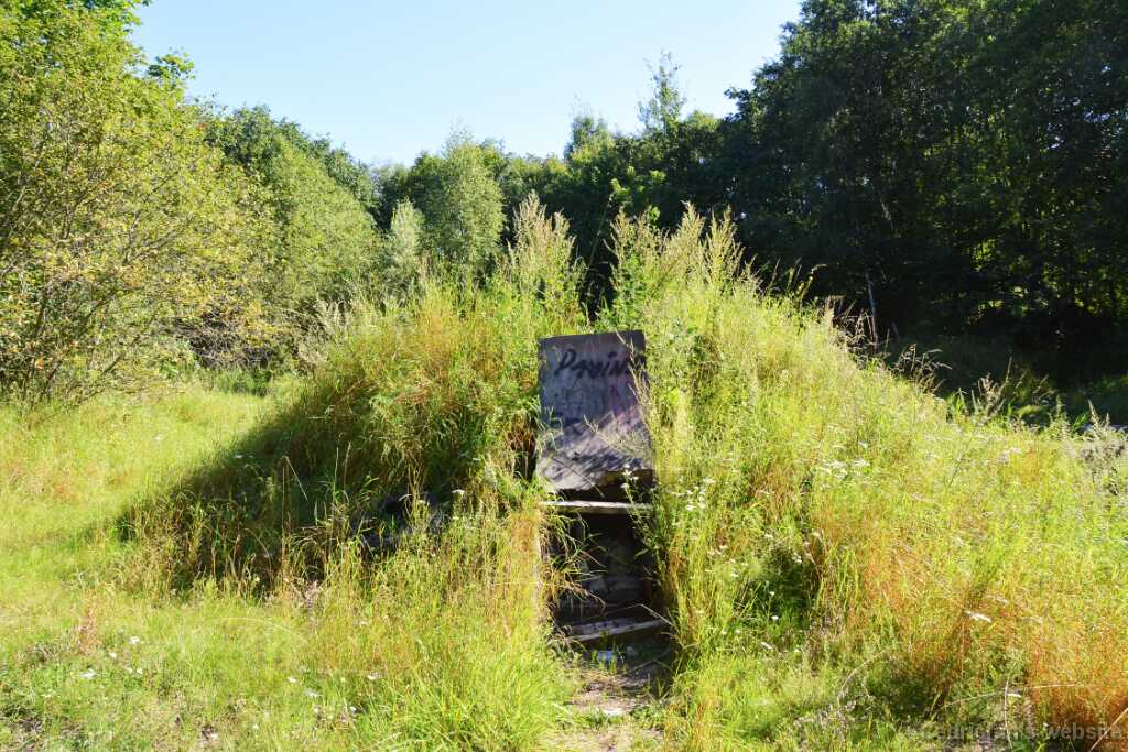 DSN_9348