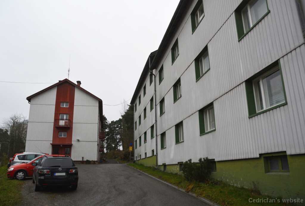 DSO_9541
