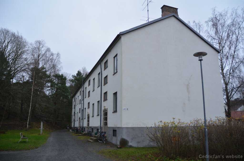 DSO_9568