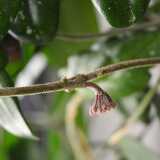 20 Misc pics 2