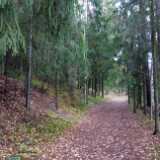 20_10_Pitkäniemi