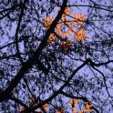20_12_ByNight