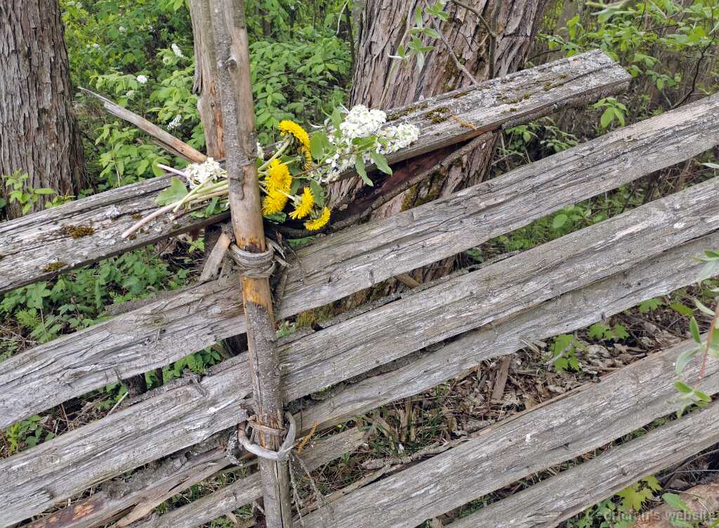 IMG_20210523_132708