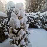 IMG_20210116_152926
