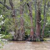 IMG_20210523_133029