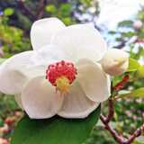 IMG_20210626_130628