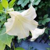 IMG_20210721_065118
