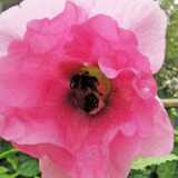 IMG_20210730_064428