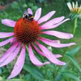 IMG_20210731_221717