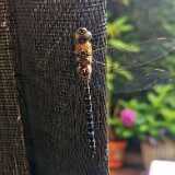 IMG_20210801_162443