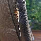IMG_20210801_162506