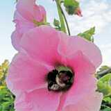 IMG_20210802_063656
