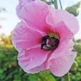 IMG_20210802_063735