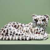 IMG_20210904_113357