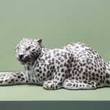 IMG_20210904_113443
