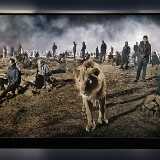 IMG_20211009_154027