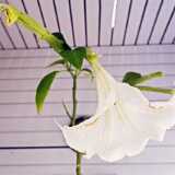 IMG_20211024_155511