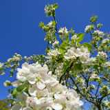DSN_0296