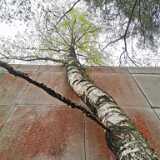 IMG_20210516_131106
