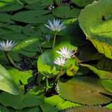 IMG_20210609_122235