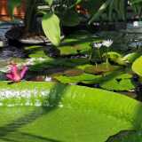 IMG_20210609_122302