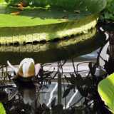 IMG_20210609_122322