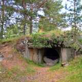Bunkkerit