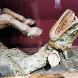 IMG_20210617_104752