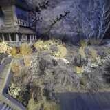 IMG_20210717_114704