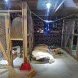 IMG_20210717_115446