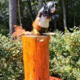 IMG_20210717_151554