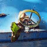 IMG_20210717_152821