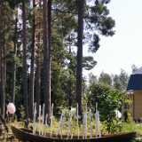 IMG_20210717_155401